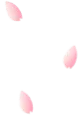 凝心聚力备战中考,多措并举护航梦想|任丘市思贤学校推进中考备考工作纪实 第10张
