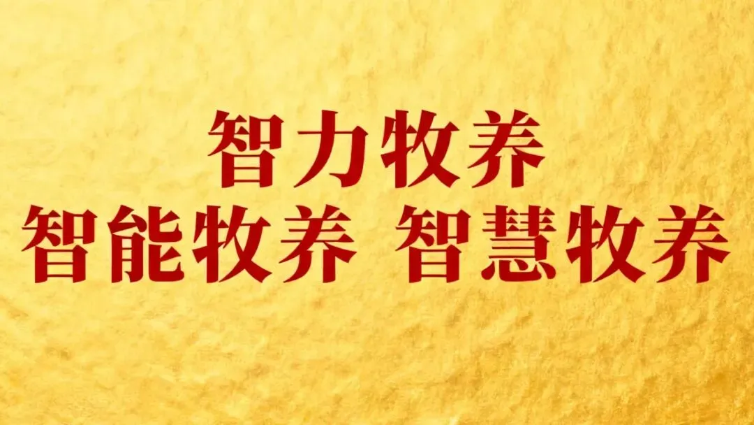 网络牧场Al讲学堂第二期学员期末考试试卷:学员厉试卷 第3张 网络牧场Al讲学堂第二期学员期末考试试卷:学员厉试卷 第3张