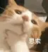 中考差10分天差地别!?中山中考三四梯队择校真相 第7张 中考差10分天差地别!?中山中考三四梯队择校真相 第7张