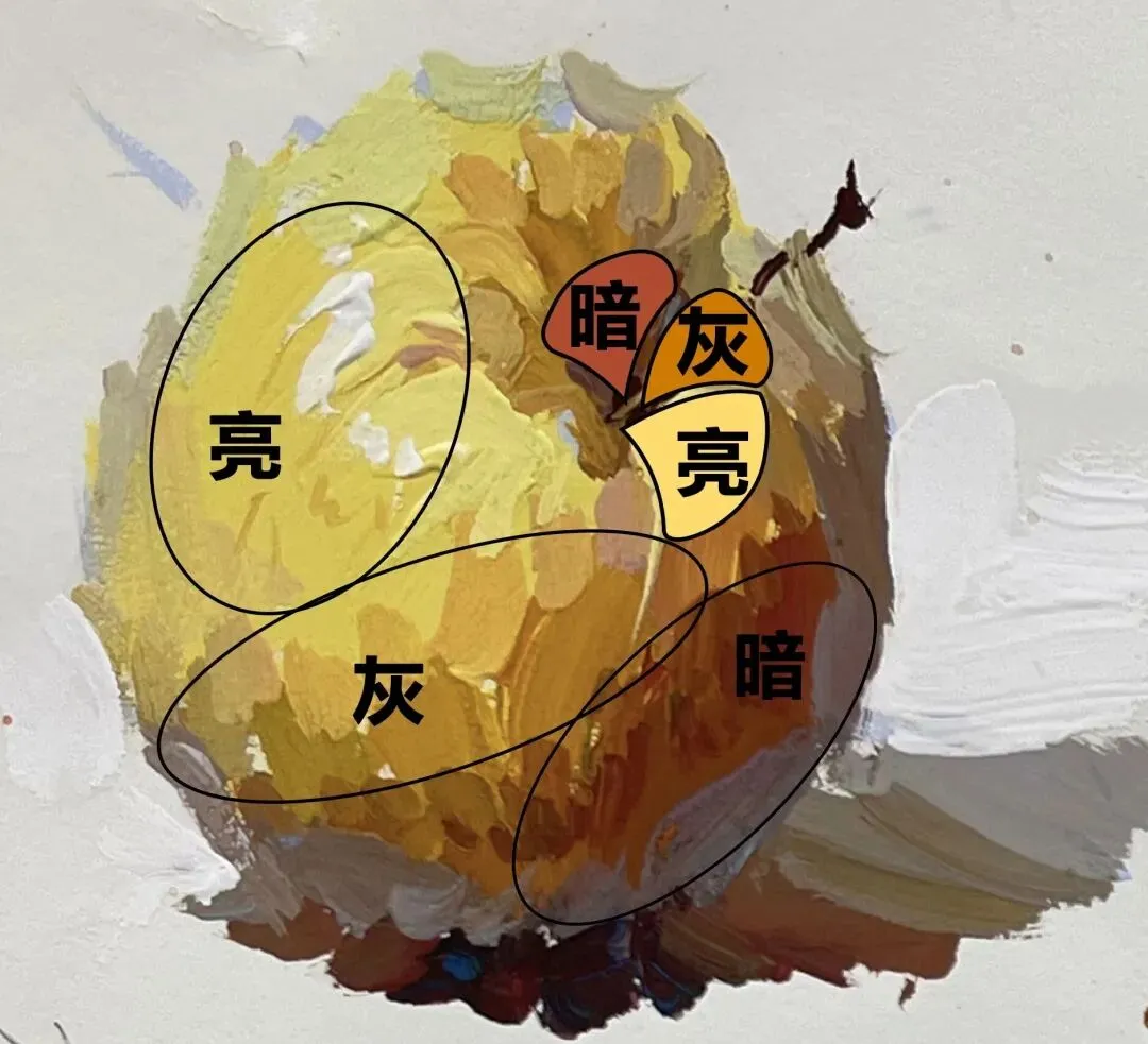 中考色彩干货|吃透这 5 点,轻松提分! 第15张 中考色彩干货|吃透这 5 点,轻松提分! 第15张