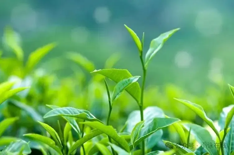 【495】初中数学中考复习中的盈不足 第3张
