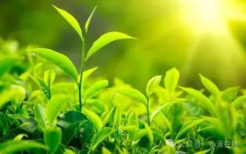 【495】初中数学中考复习中的盈不足 第4张
