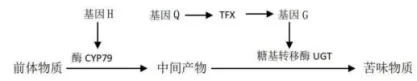 2026年哈师大附中东三省第二次模拟考试生物学科试题和答案(附word下载) ⊙ 第20张