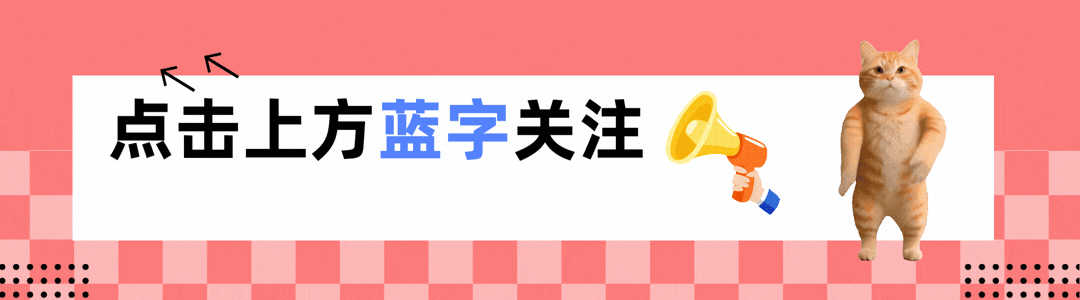 中考真题(4)2025年安徽省中考英语真题及答案(可打印) 第2张