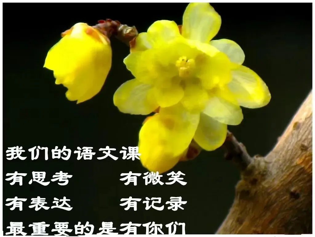 高考语文专项提分学案:文言文真题研做(二) 第1张