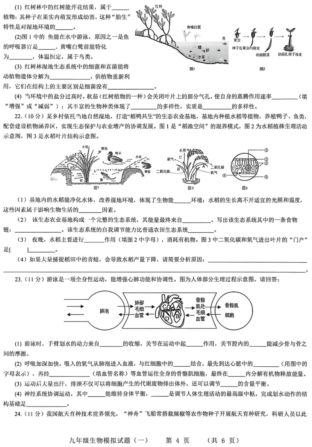 2026年JY初中生物模拟一试卷及答案 第4张 2026年JY初中生物模拟一试卷及答案 第4张