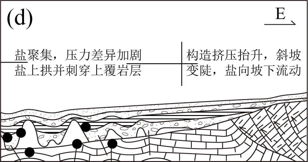 冲刺提分真题练——考点16 内力作用与地貌(解析版) 第6张 冲刺提分真题练——考点16 内力作用与地貌(解析版) 第6张