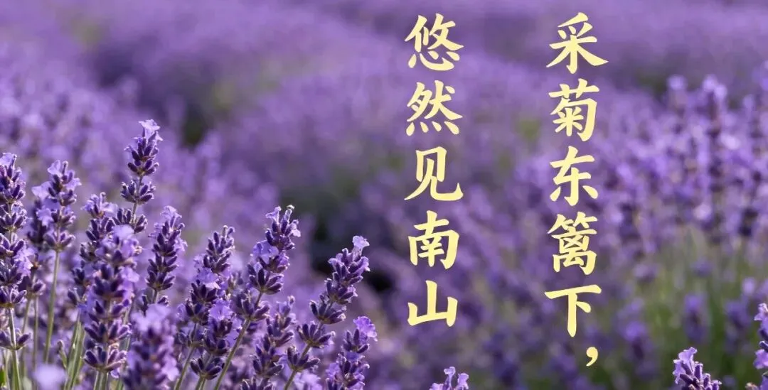 山东省2026届高三4月调研考试数学试卷 第1张