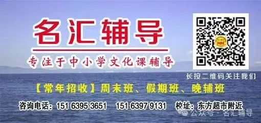 山东省2025中考统考科目物理样题与答案 第15张