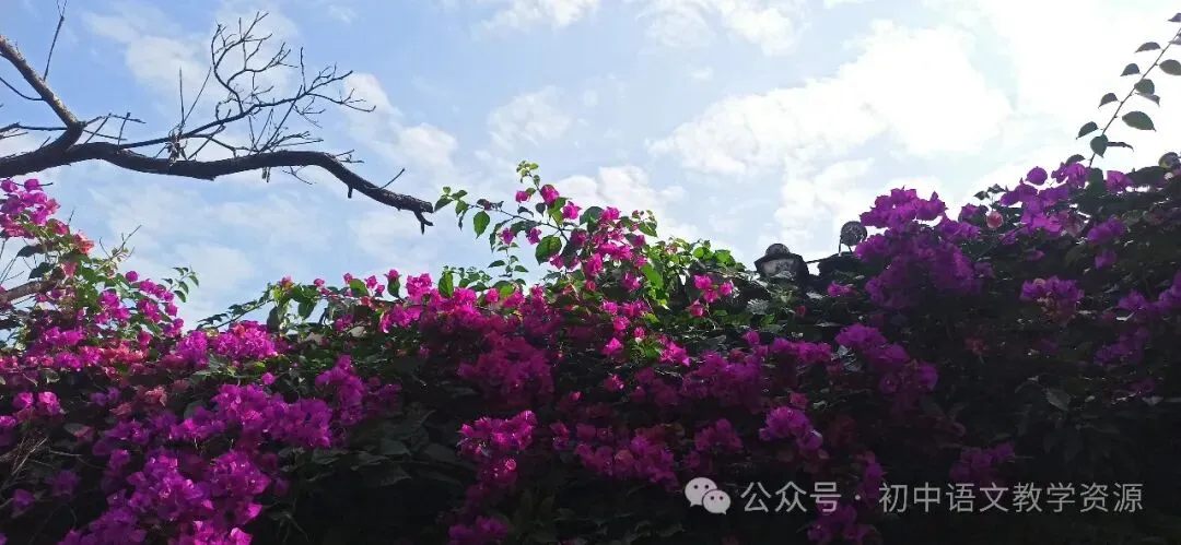 语文中考成语运用真题精选 第1张