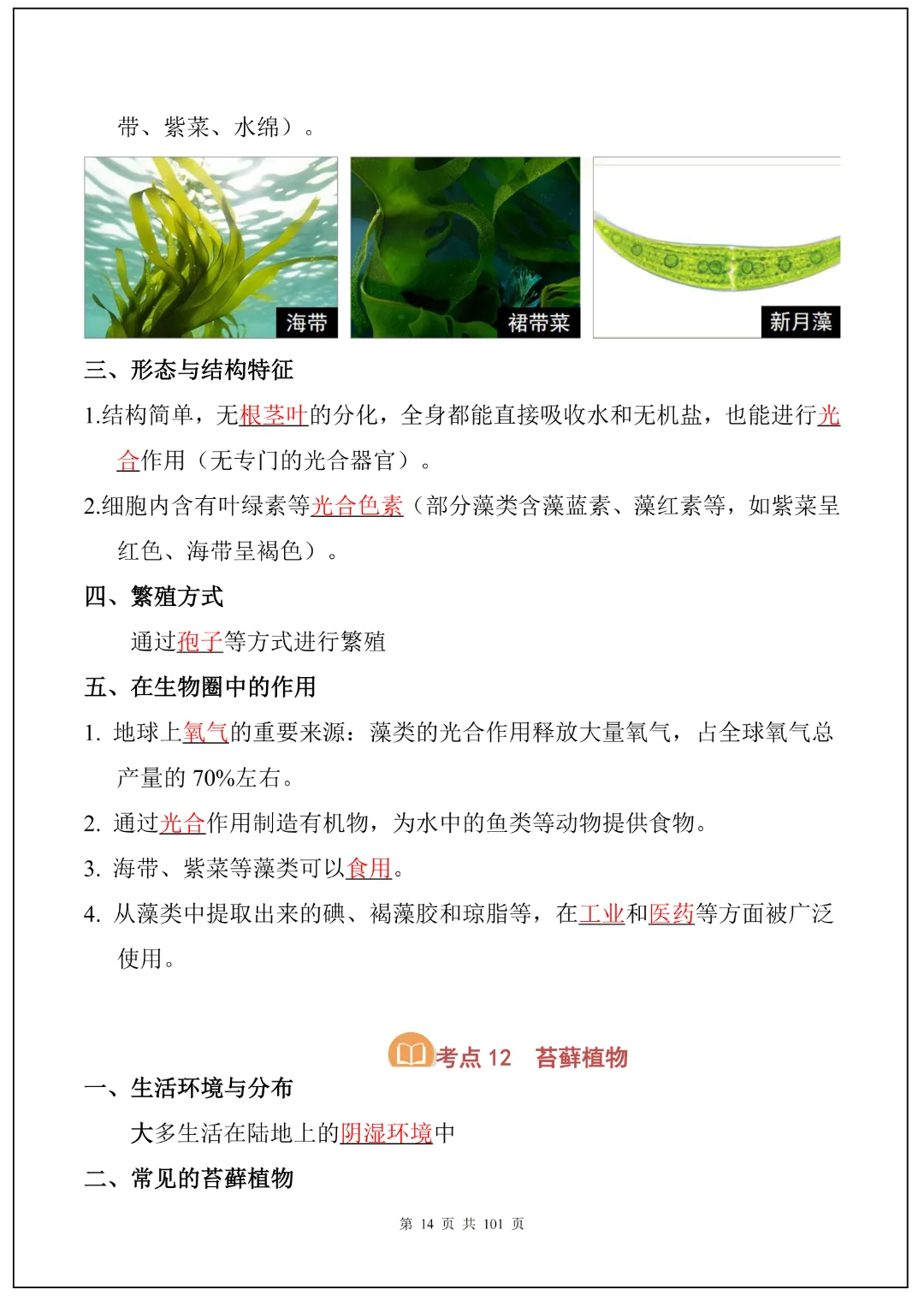 26春九年级下册中考生物必背考点汇总(108大考点)(全国通用)|高清电子版可打印 第7张