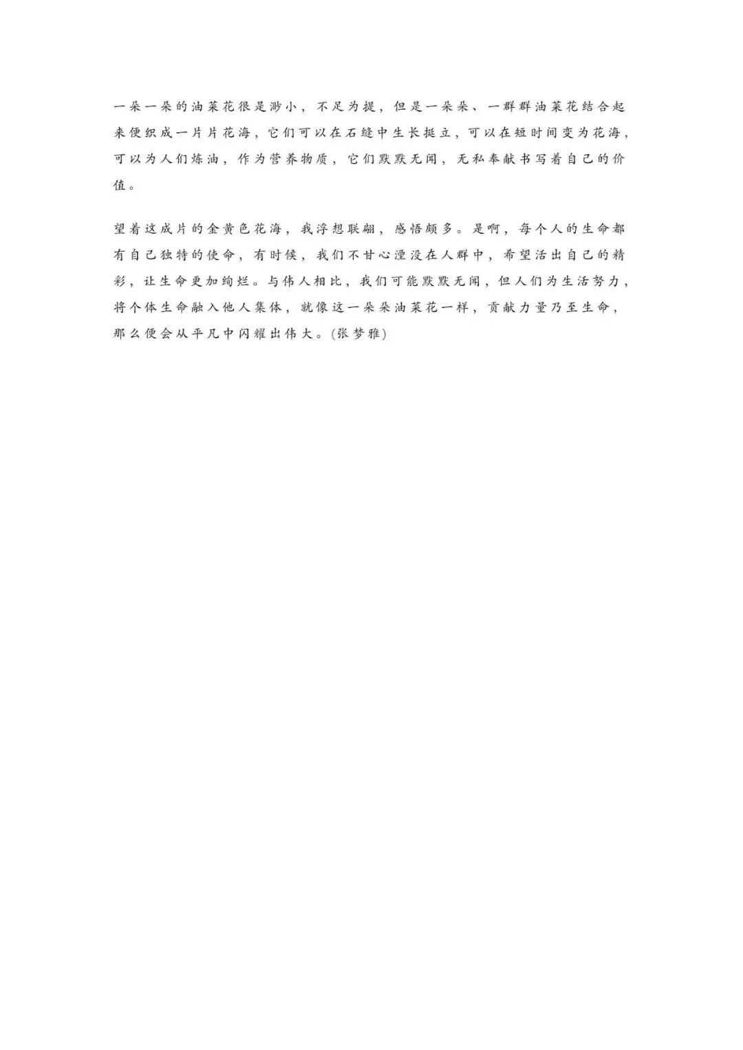初中语文 | 中考语文作文押题:【托物言志类】作文(范文10篇,可打印) 第13张