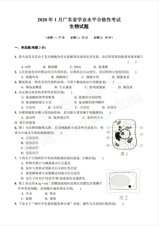 6年合格考真题电子版免费领取→ 第22张