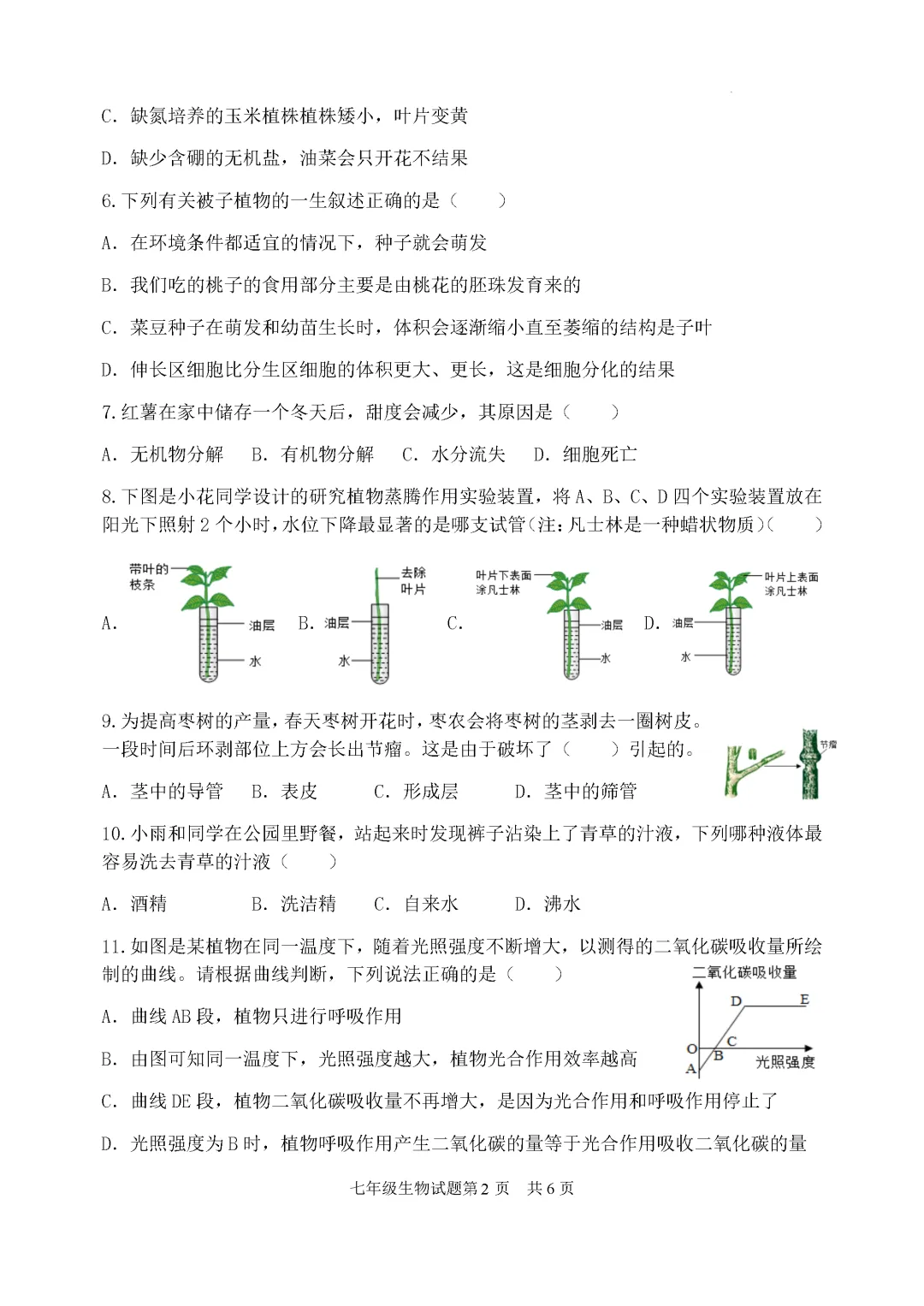 期中真题-2025 年临沂罗庄区初一下学期期中生物试题(完整版 + 答案) 第5张