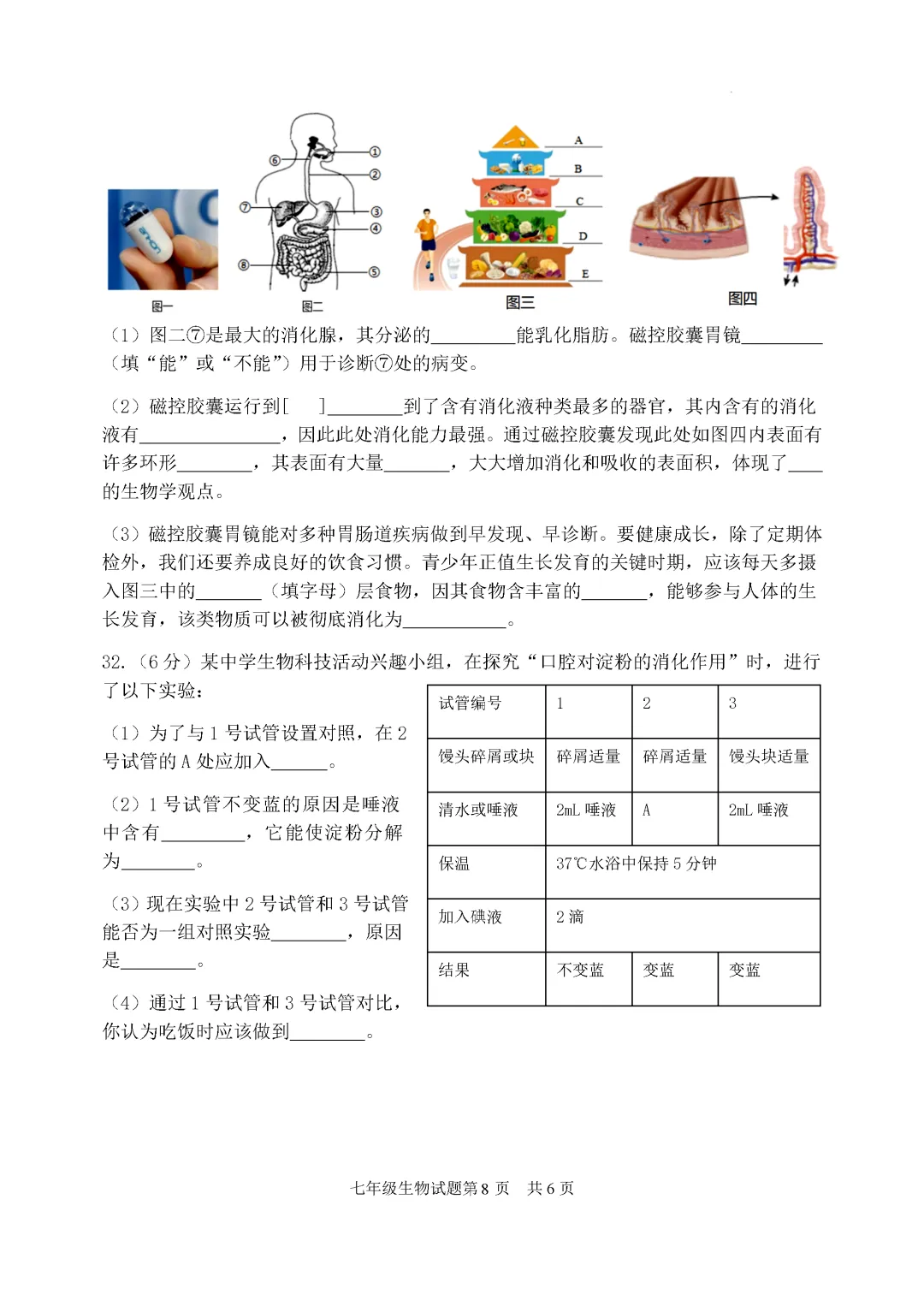 期中真题-2025 年临沂罗庄区初一下学期期中生物试题(完整版 + 答案) 第11张