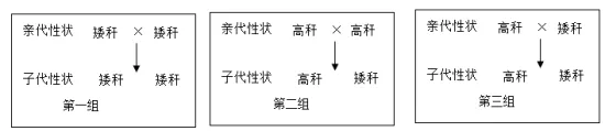 2026年鞍山市一模生物真题 第10张