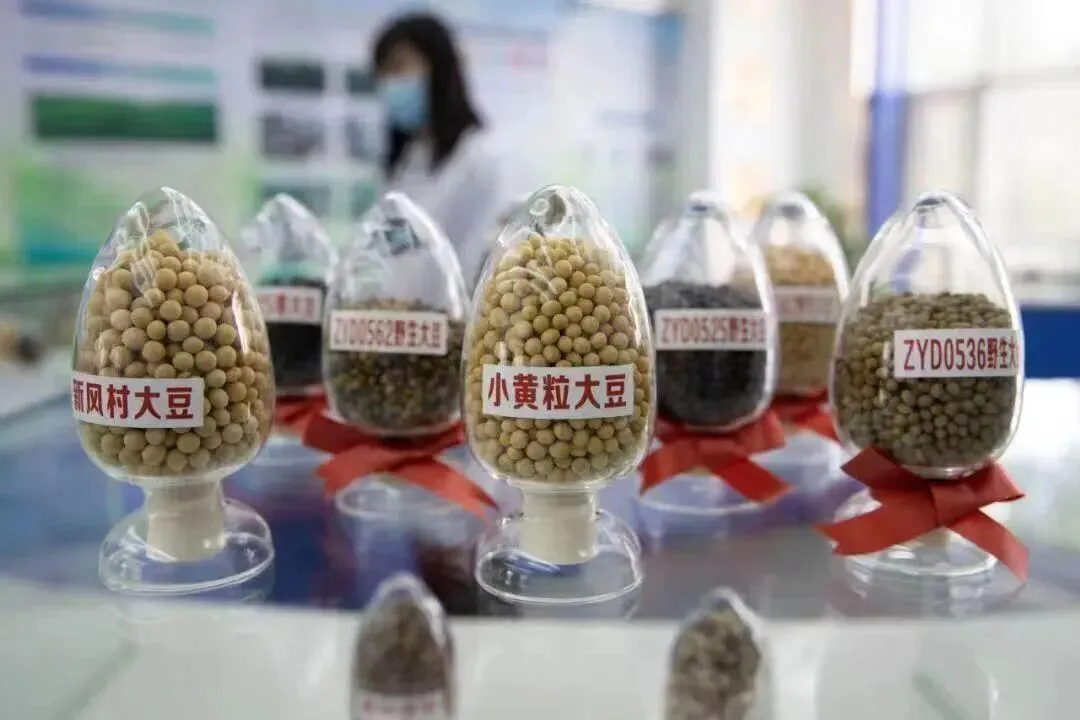 【中考阅读指导】关于种业振兴与粮食安全(非连续性文本)山东济南2025 第9张 【中考阅读指导】关于种业振兴与粮食安全(非连续性文本)山东济南2025 第9张