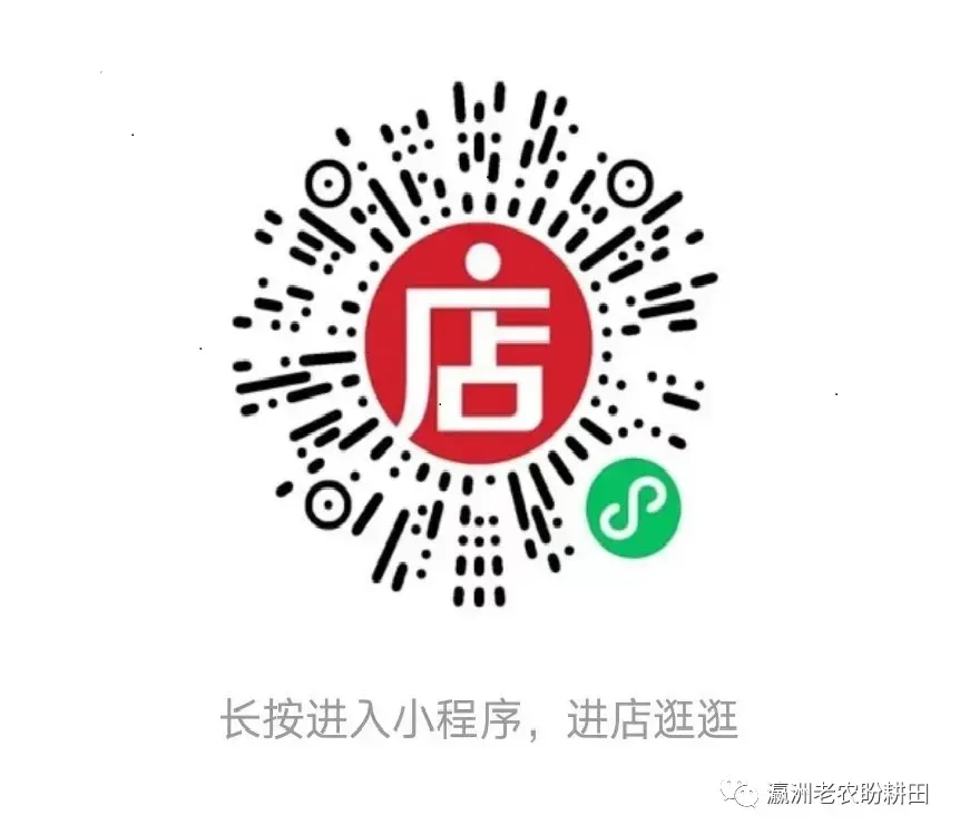 高级实务:7年全部真题、6套全真模拟试卷,会给你带来怎样的体验? 第2张