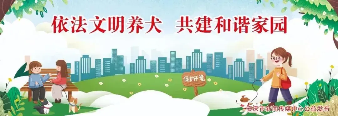 安庆市区体育中考昨日开考 6897名考生参加 第2张