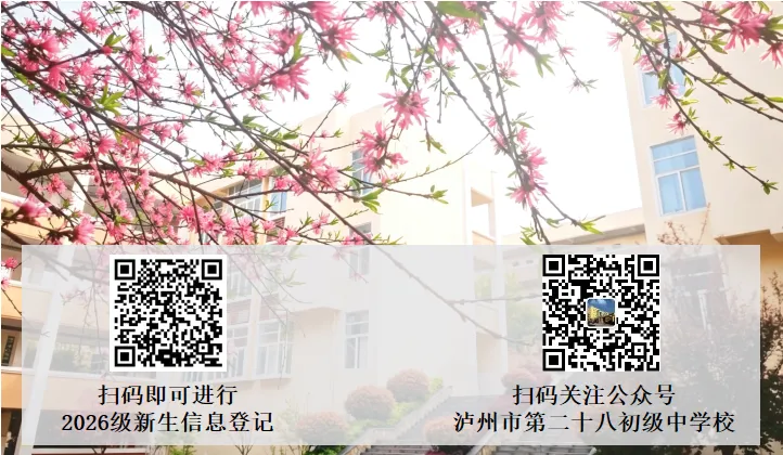 研思赋能备中考 网链共享促提升——龙马潭区九年级数学学科培训暨“网链共享计划”联合教研活动 第16张