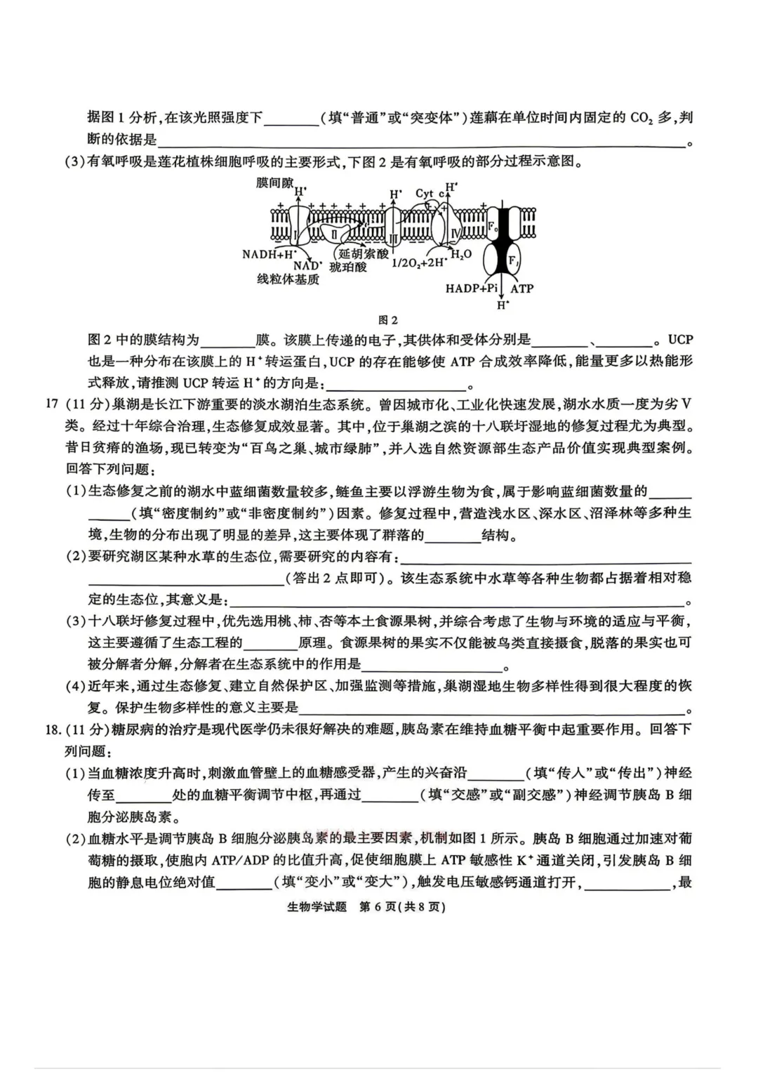 江淮十校2026届高三4月模拟考试试题及答案-第9张图片-四季读书网