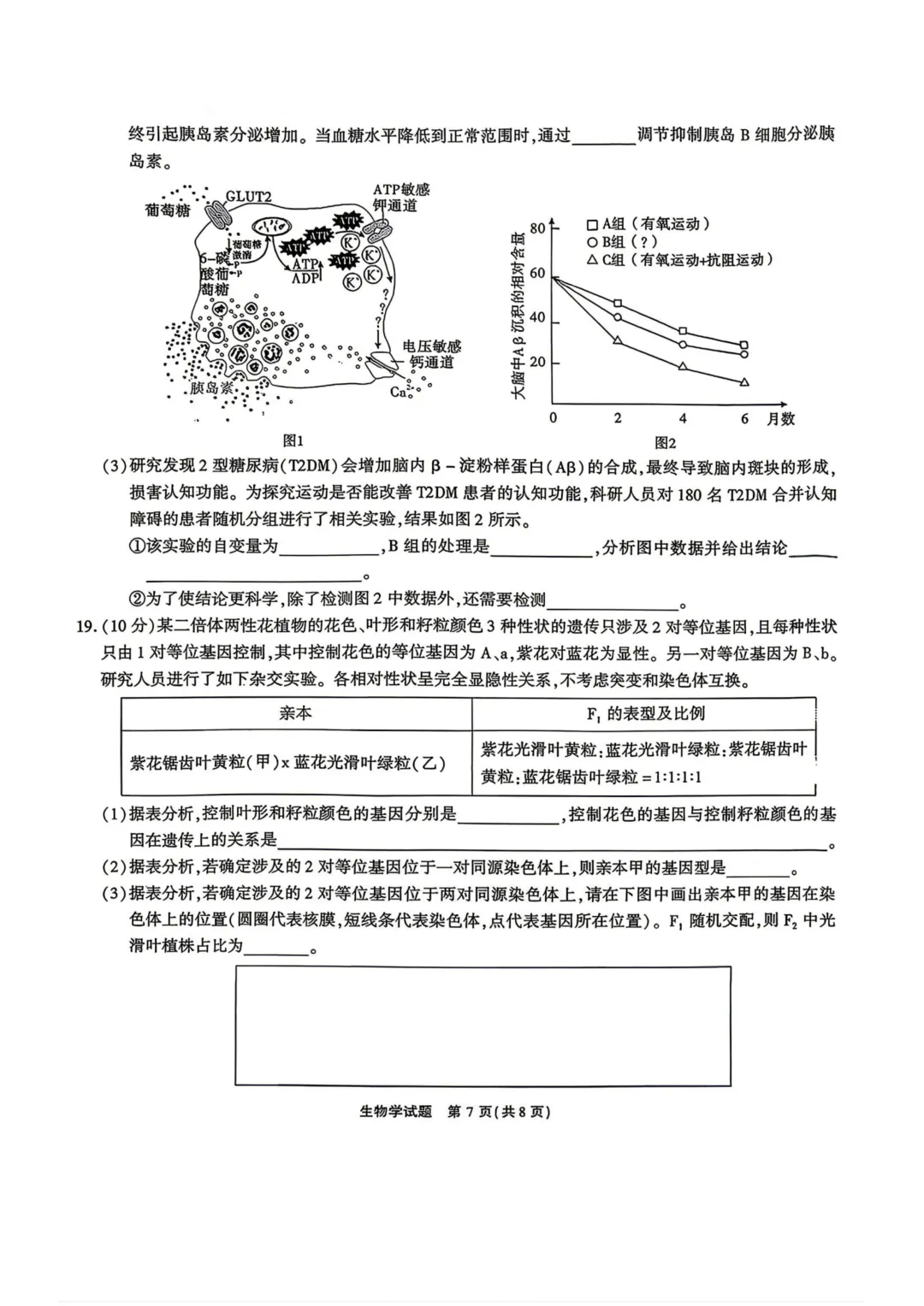 江淮十校2026届高三4月模拟考试试题及答案-第10张图片-四季读书网
