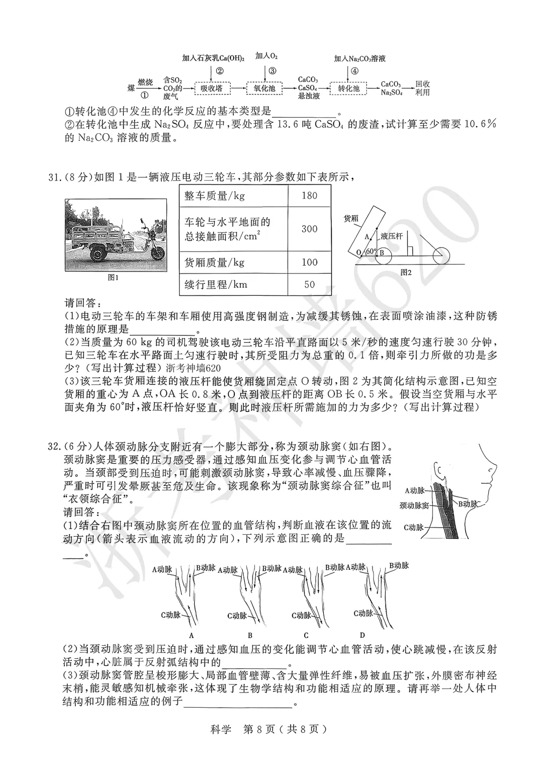 26模拟考|杭州市余杭、临平2026年中考模拟检测(余杭临平一模)(全科) 第48张