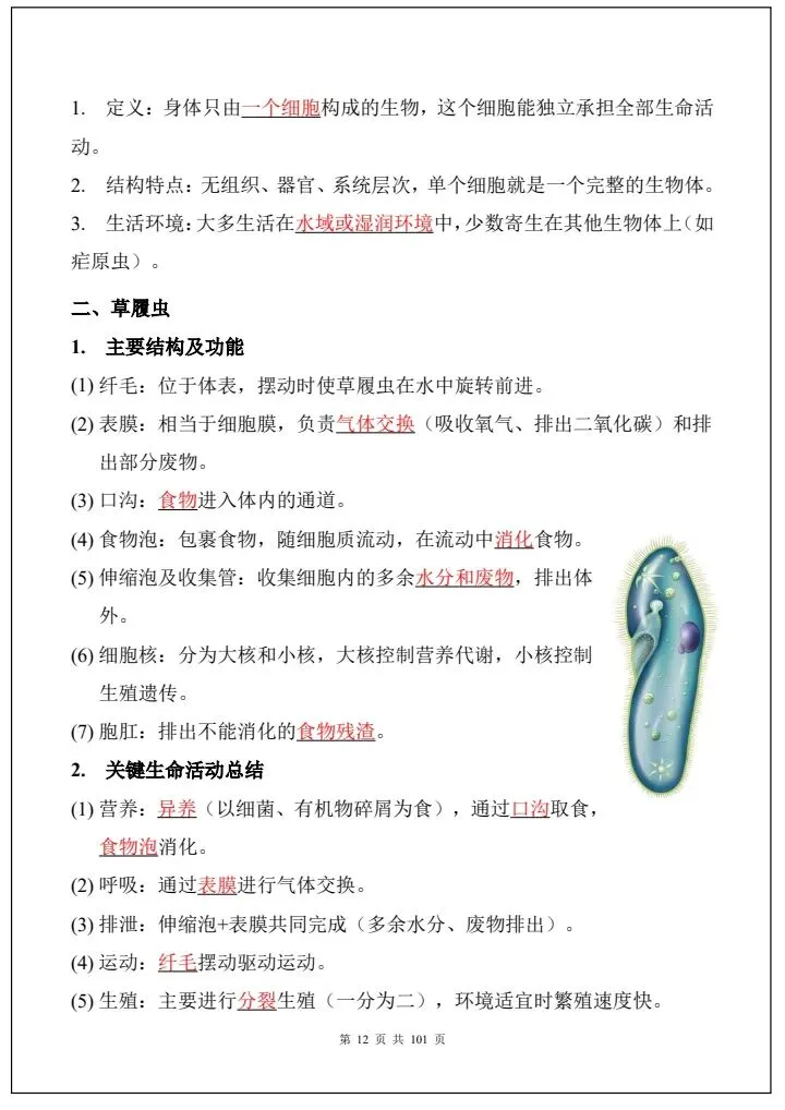 中考生物|2026《生物会考》必背考点汇总(108大考点总结)全国通用,电子版可打印下载! 第13张