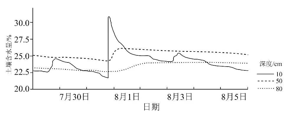 冲刺提分真题练——考点18 生物与土壤(原卷版) 第4张