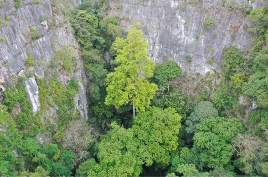 冲刺提分真题练——考点18 生物与土壤(原卷版) 第13张