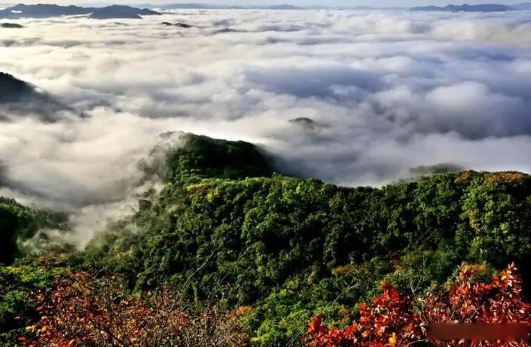 2026年中考辽宁省鞍山市初中九年级第一次模拟考试质量调查化学试卷及参考答案 第13张