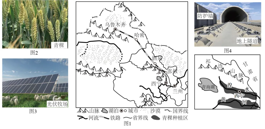 2026年中考地理综合题强化题库60题2 第40张