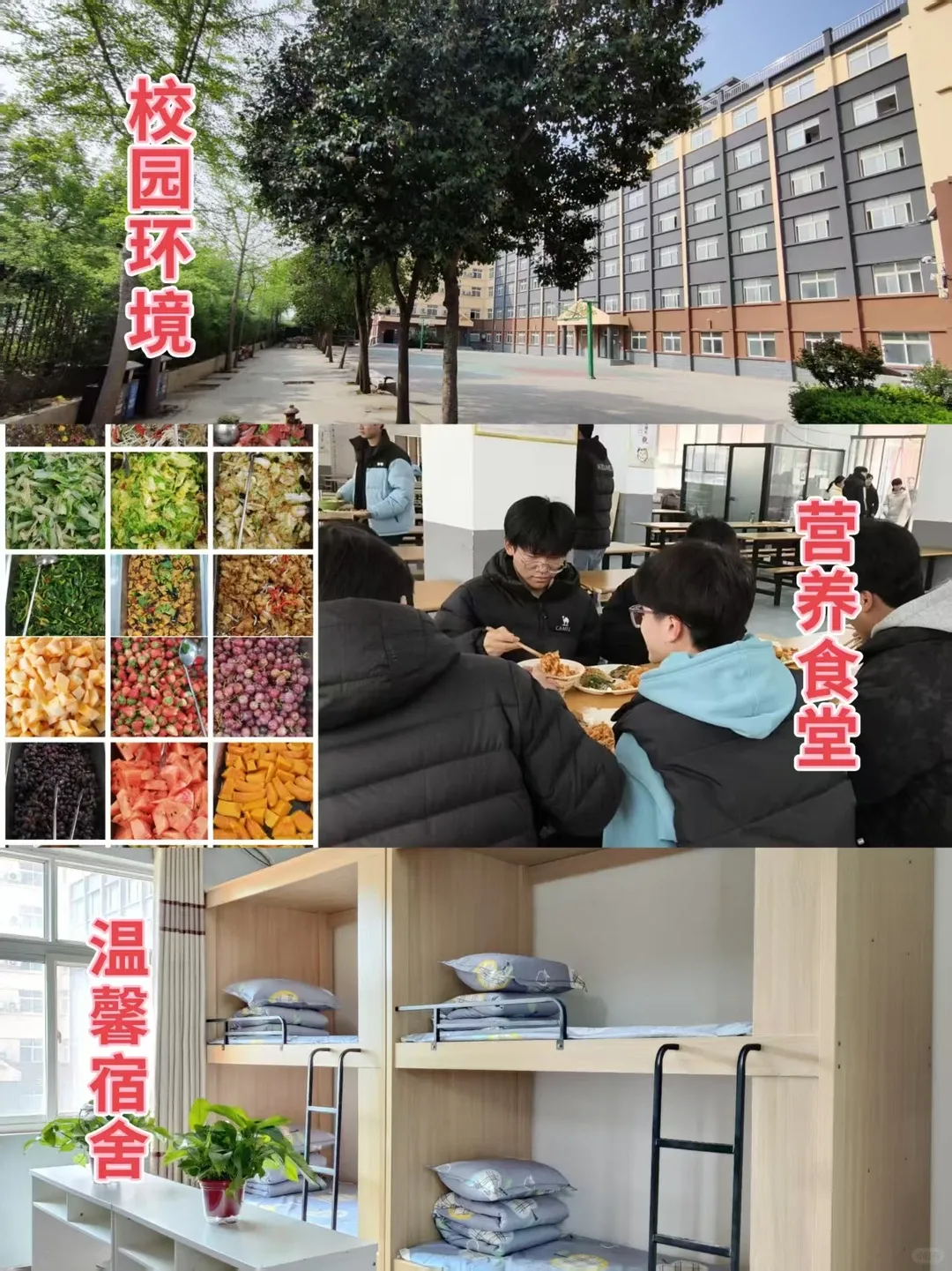 中考倒计时!郑外老师送出中考前两个月详细备考建议 第18张 中考倒计时!郑外老师送出中考前两个月详细备考建议 第18张