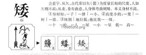 2026 年春季高一年级期中考试语文试卷 第4张 2026 年春季高一年级期中考试语文试卷 第4张
