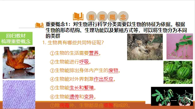 生物中考一轮复习 第4张