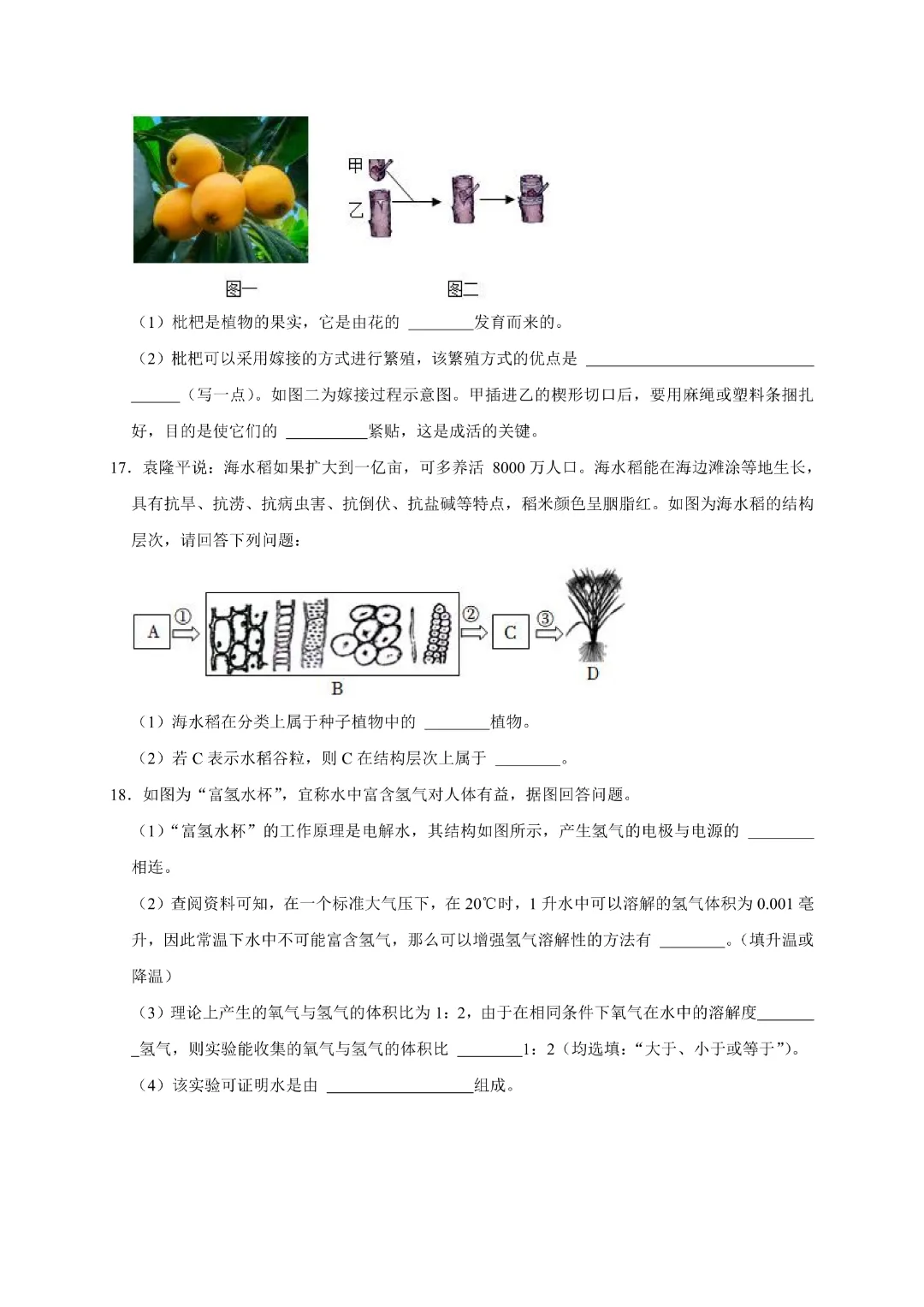 【七年级下册科学】【浙教版】历年期中模拟考试测试卷2套带答案|完整高清电子版可打印 第7张