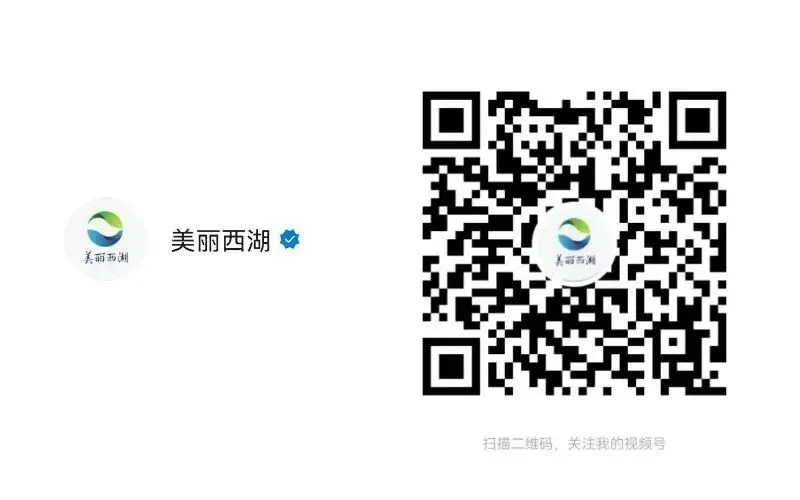早安西湖丨今年中考招生安排公布!有这些变化 第26张