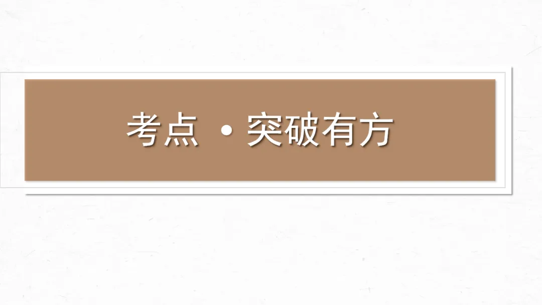 2026年中考专题复习:口语交际与综合性学习ppt 第4张