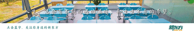 合肥安生|三大顶尖实验室解锁中考新可能 第1张