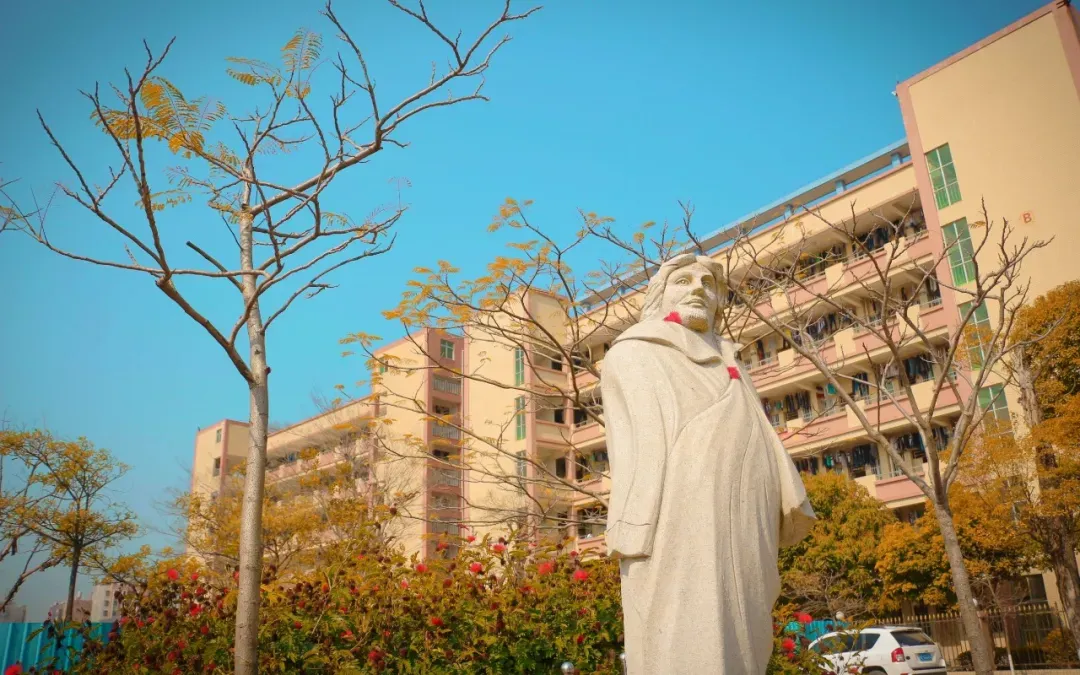 中考资讯|深圳市三高东源高级中学 第3张 中考资讯|深圳市三高东源高级中学 第3张