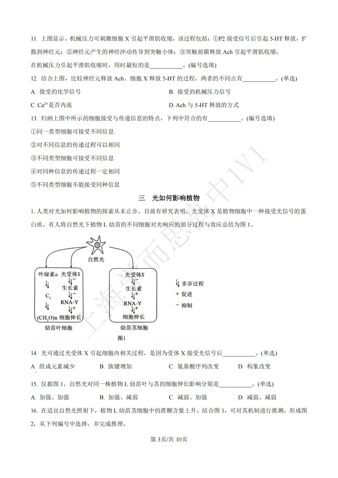 高考真题 | 【生物】2017-2025年上海等级考历年真题试卷(含解析) 第5张 高考真题 | 【生物】2017-2025年上海等级考历年真题试卷(含解析) 第5张