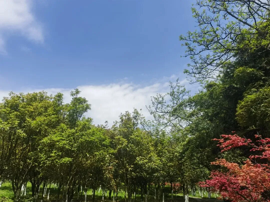 真题解析:同事发帖吐槽“请教前辈,还不如不请教”…90%考生第一反应就错了 第1张 真题解析:同事发帖吐槽“请教前辈,还不如不请教”…90%考生第一反应就错了 第1张