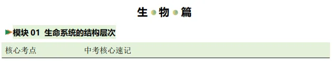中考必考核心知识梳理 第8张 中考必考核心知识梳理 第8张
