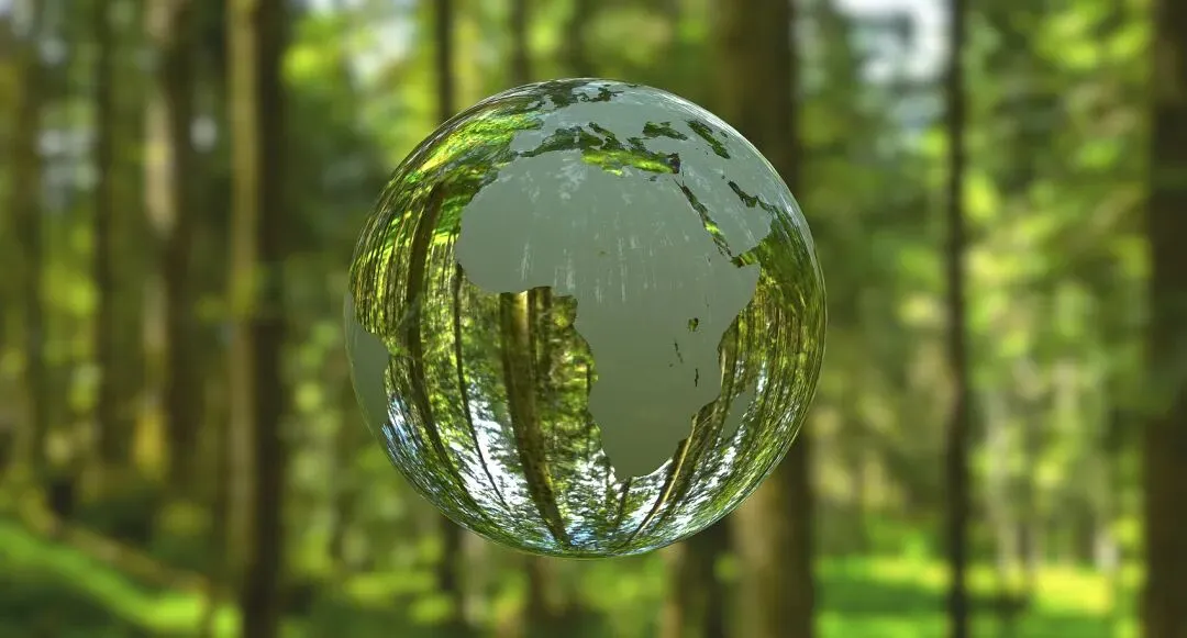 中考地理生物改革,要考虑到师资差距|九派时评 第2张