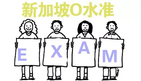 中考后分流太焦虑?新加坡 O 水准,一条双向可选的升学快车道 第6张