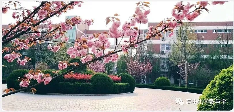 2026年高三化学3月、4月模拟试卷200套+ 第2张 2026年高三化学3月、4月模拟试卷200套+ 第2张