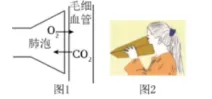 中考科学(浙江)二轮复习冲刺(4)——“说理题”冲刺 第3张
