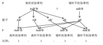 真题讲解:基因工程与遗传学 第2张