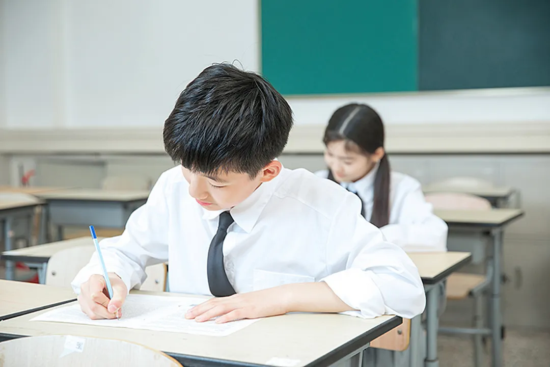 中考临界生必看:普高、职高、综合高中,升学路径全对比! 第6张 中考临界生必看:普高、职高、综合高中,升学路径全对比! 第6张