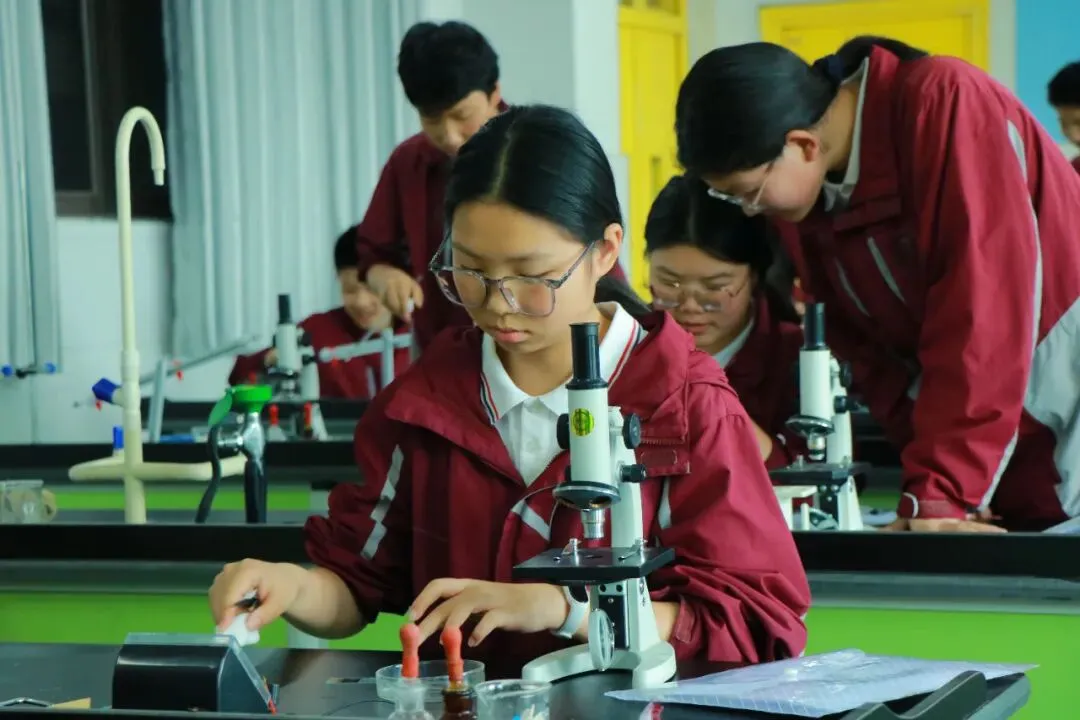 逐梦中考砺剑行|阳光书院初中部中考备考:以奋斗赴荣光,以初心向未来 第21张 逐梦中考砺剑行|阳光书院初中部中考备考:以奋斗赴荣光,以初心向未来 第21张